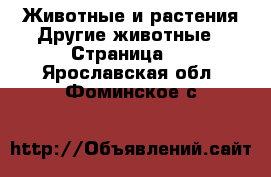 Животные и растения Другие животные - Страница 2 . Ярославская обл.,Фоминское с.